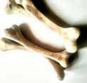 bones